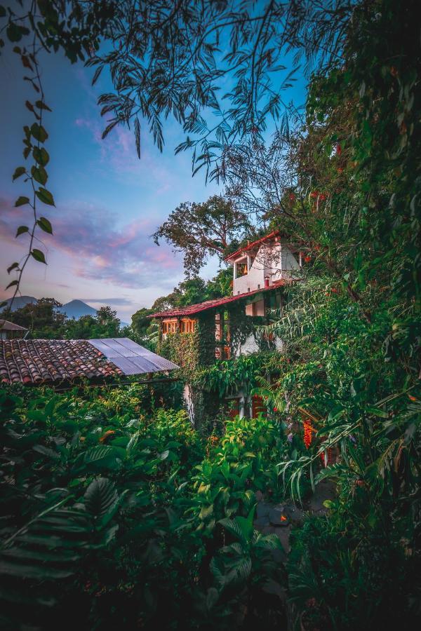 Hotel Lush Atitlan San Marcos La Laguna Exterior foto